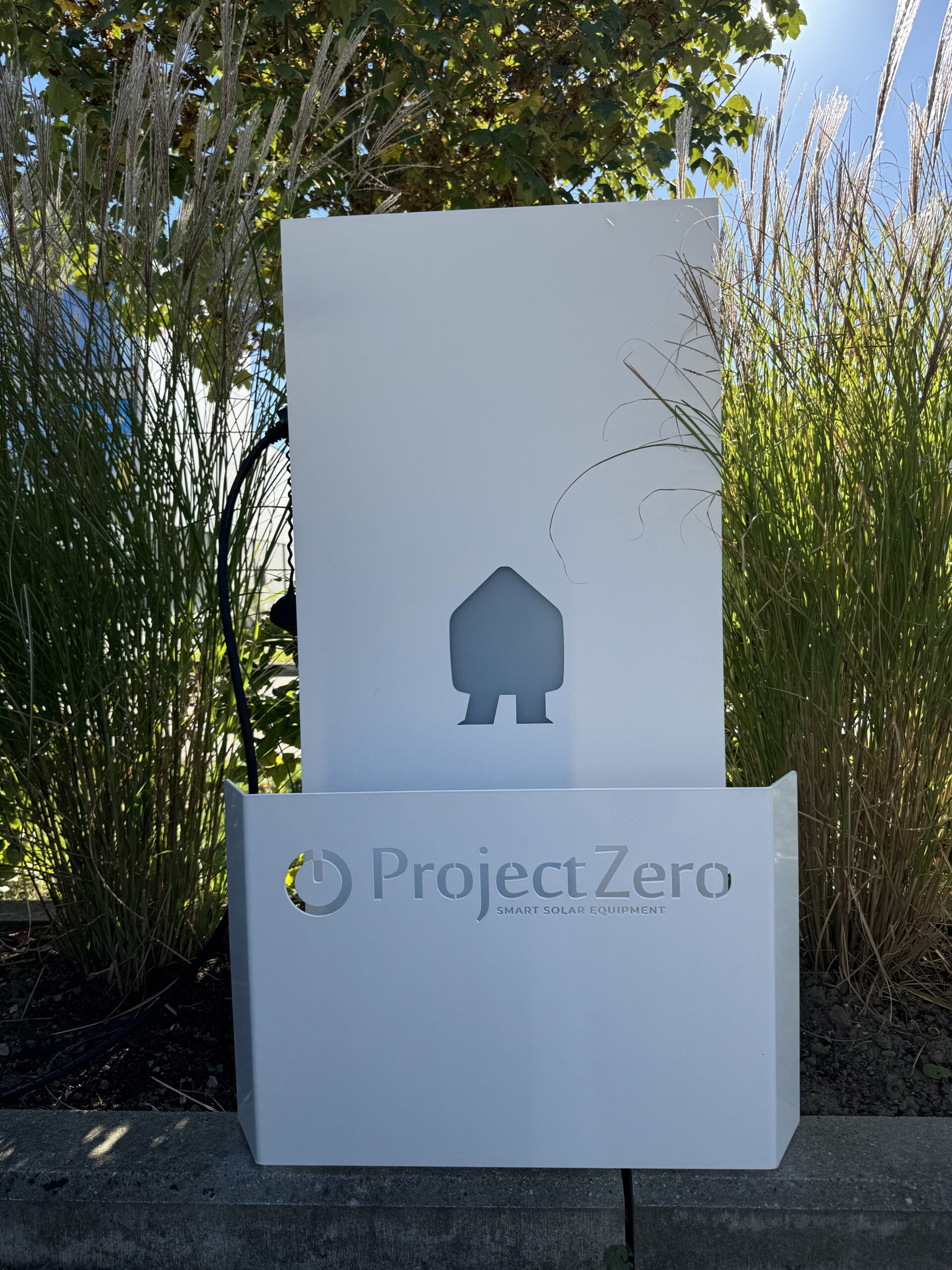 Fashionable collision protection for Project-Zero